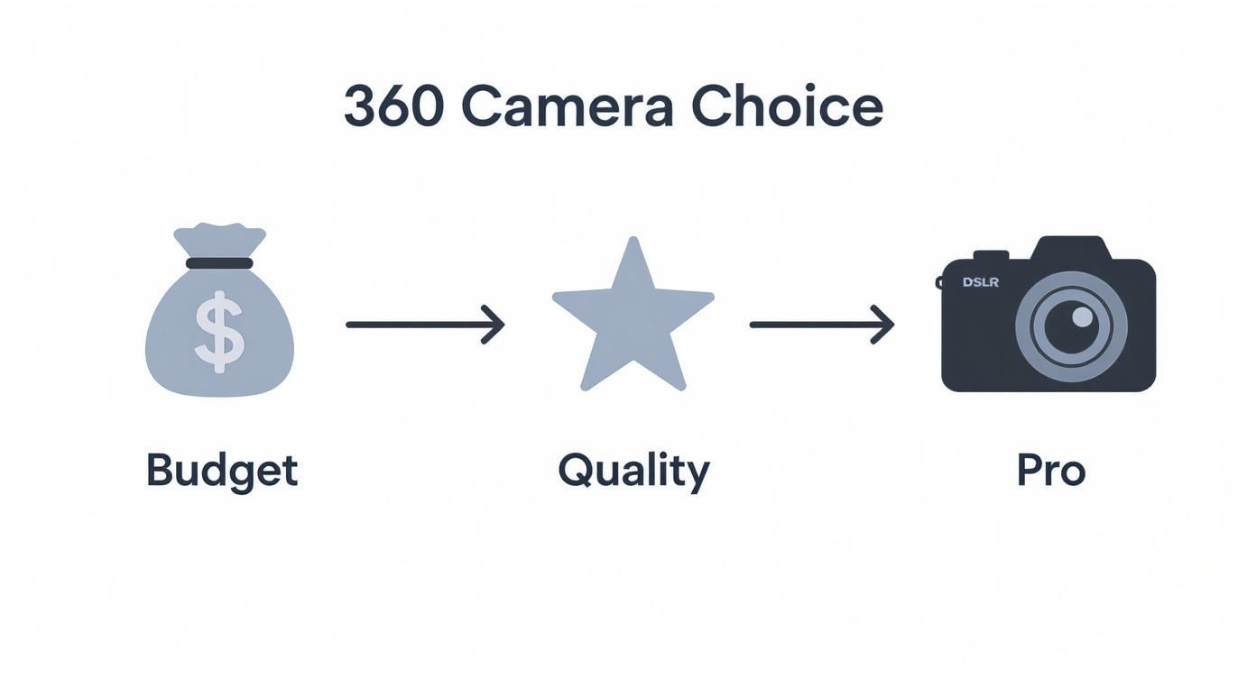 Infografica sulle fotocamere per tour virtuali a 360 gradi