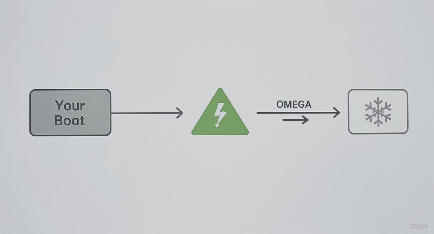 A flowchart showing 'Your Boot' processing, leading through a lightning bolt warning, to a frozen state labeled 'OMEGA'.