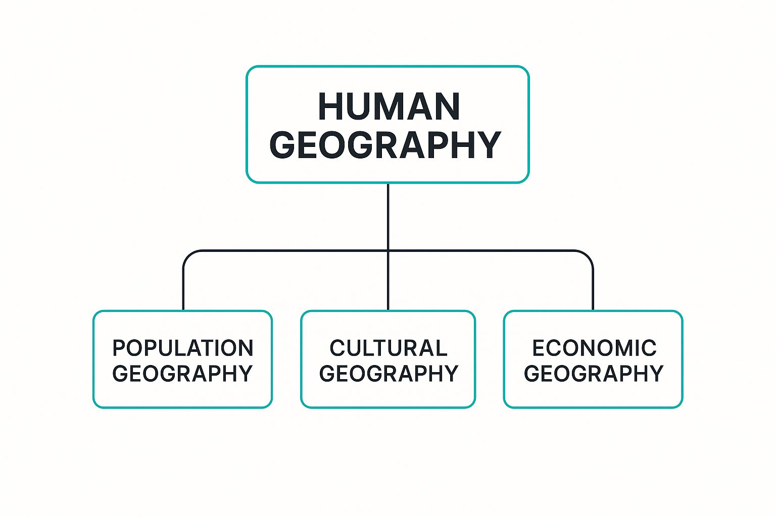 Infographic showing Human Geography branching into Population, Cultural, and Economic Geography.