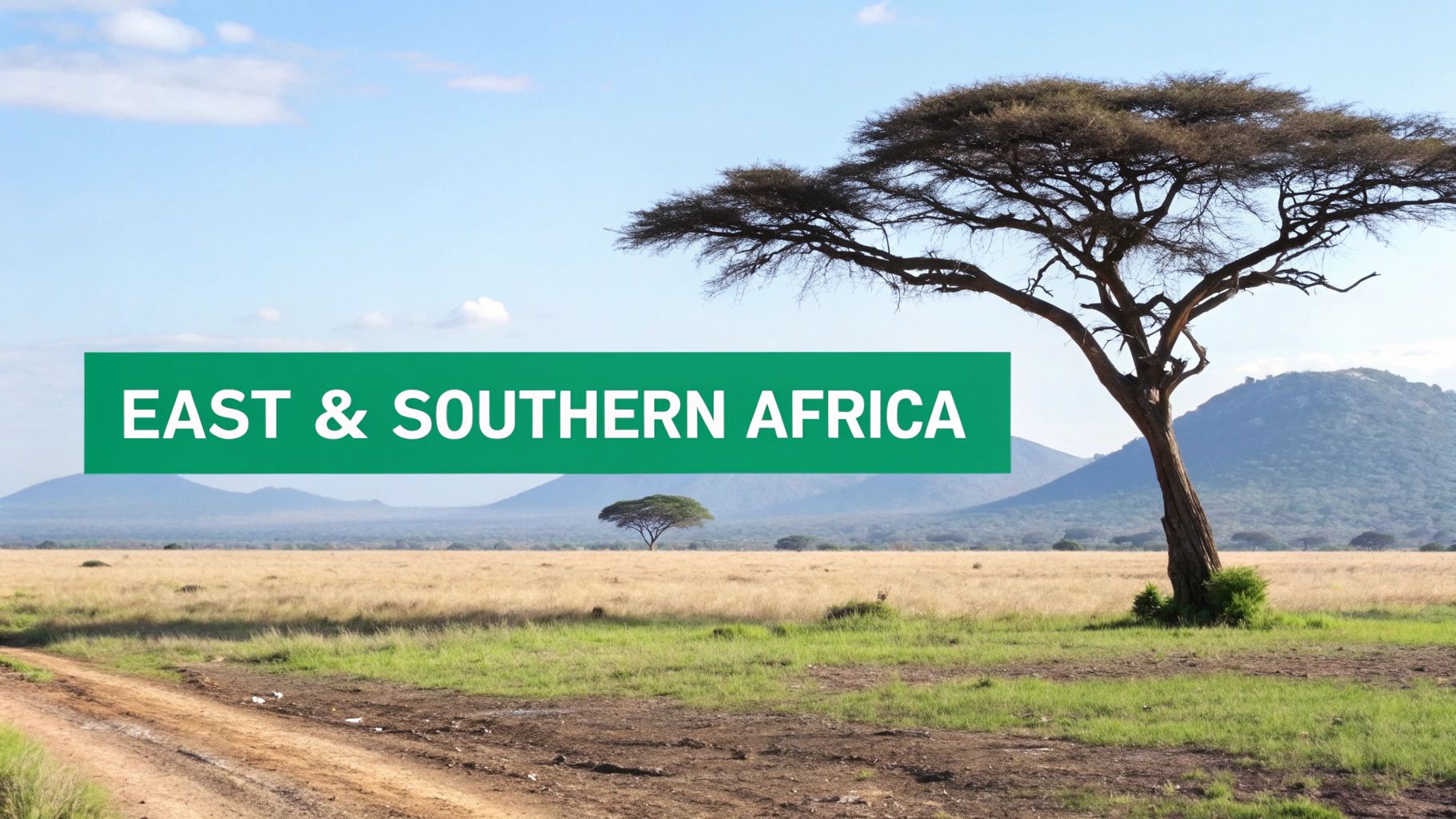 A stunning aerial view of the Serengeti in East Africa, with vast plains and scattered acacia trees.