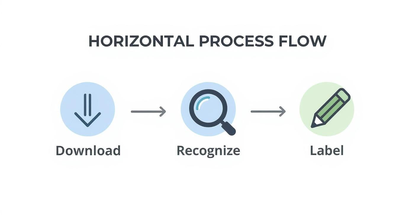 Infographic about label the continents and the oceans