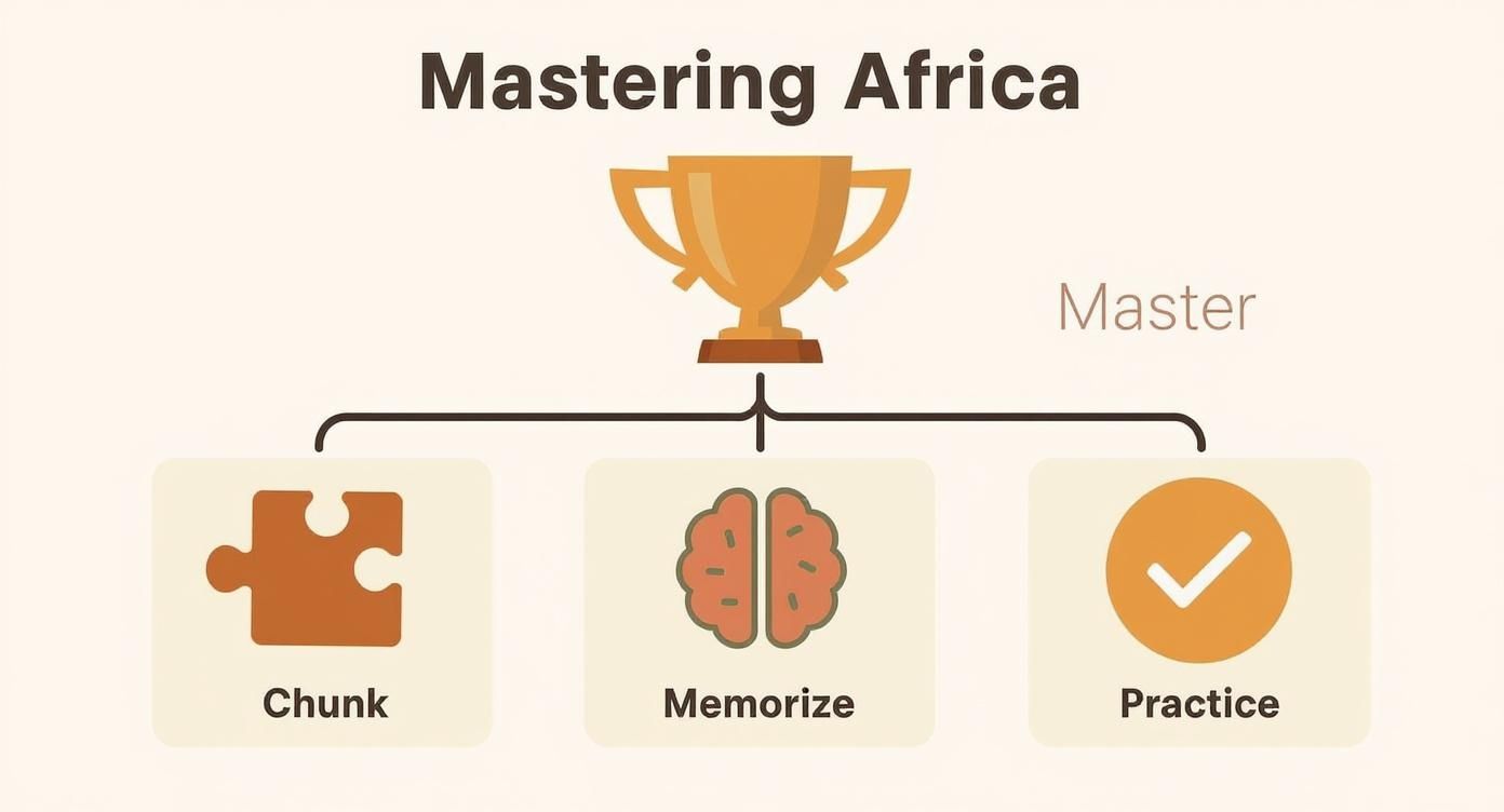 Infographic about learn africa countries