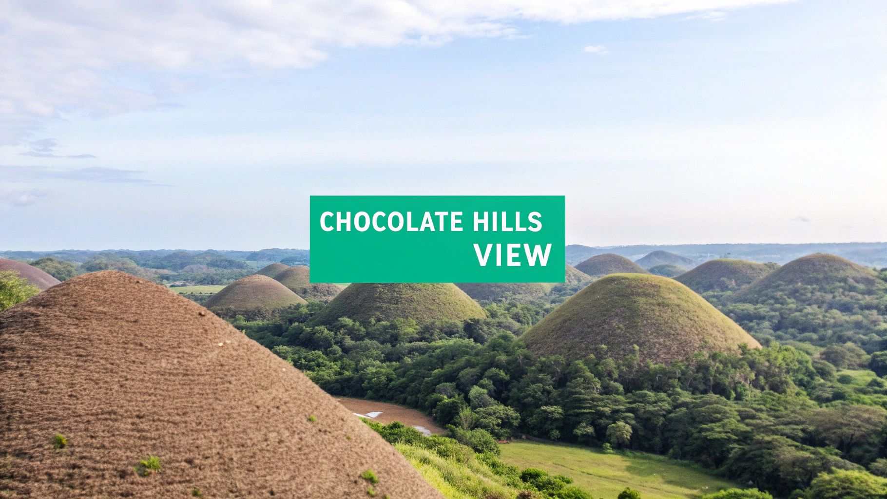 A wide panoramic view of the iconic Chocolate Hills in Bohol, Philippines, with many conical mounds under a bright sky.