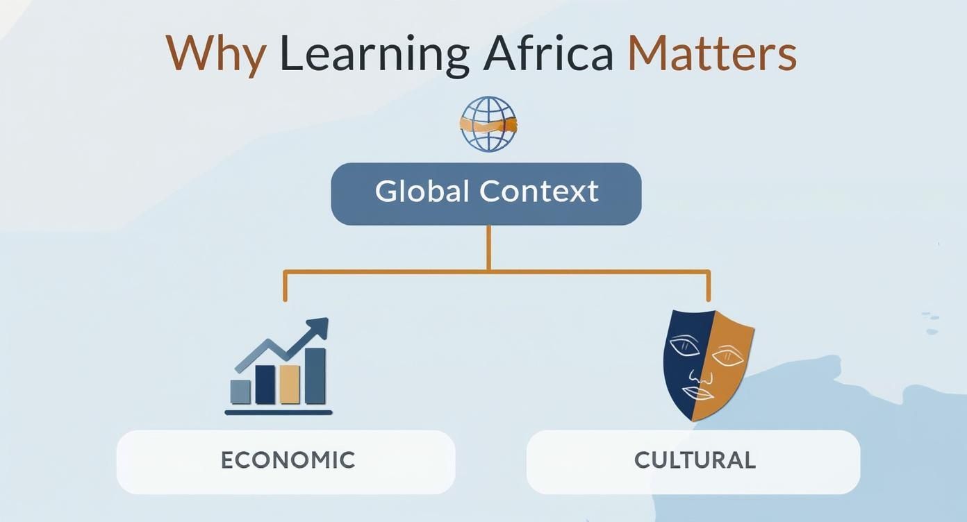 Infographic about learn the countries of africa