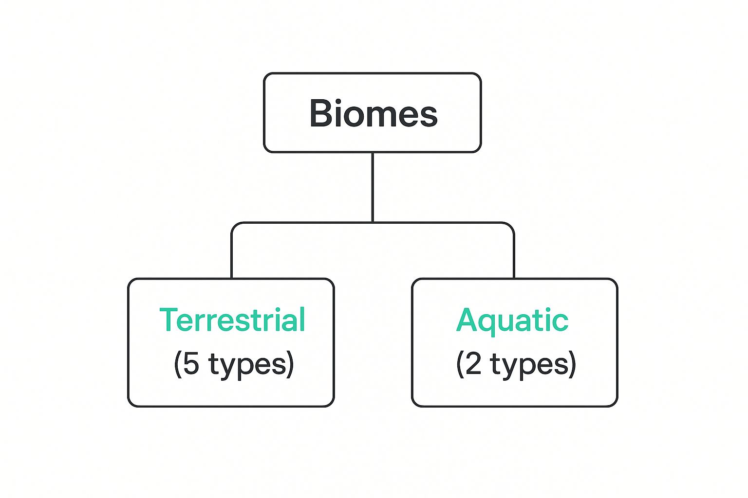 Infographic about biomes of the world