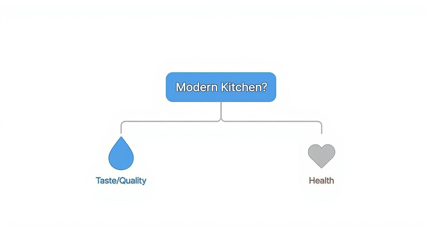 Infographic about brita water filter taps