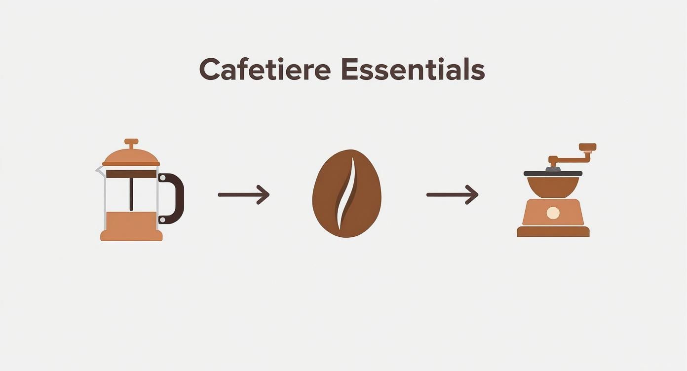 Infographic about making cafetiere coffee