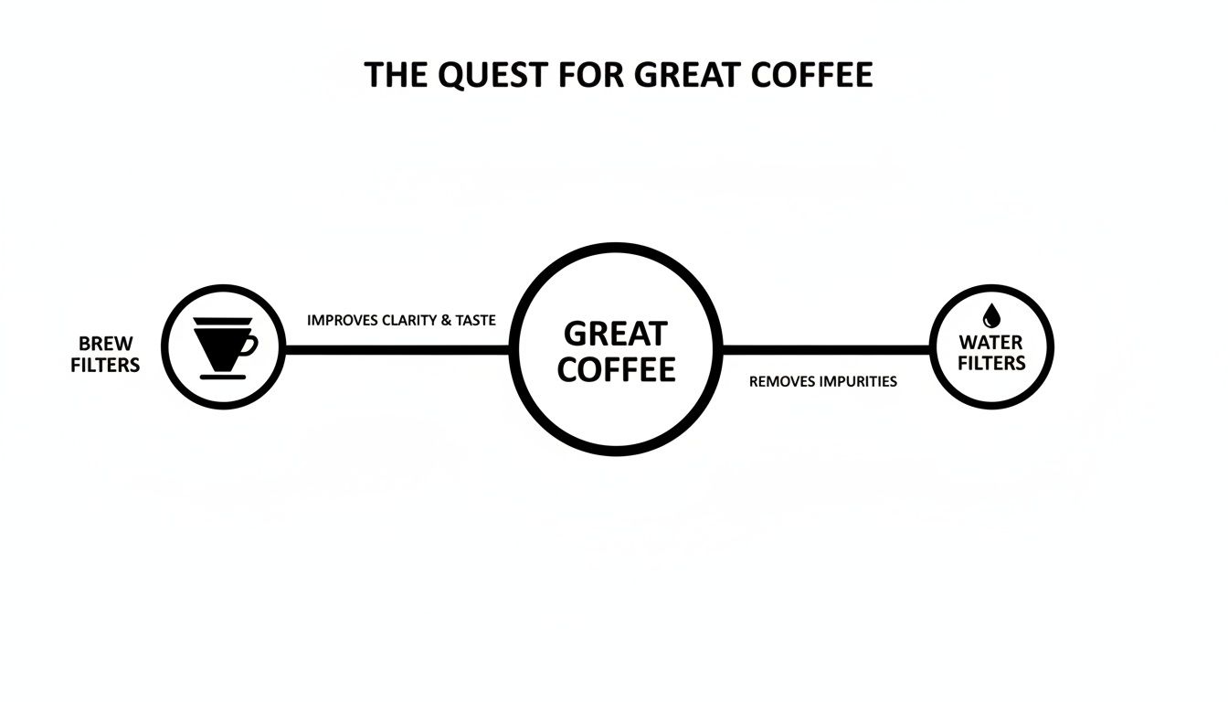 Diagram illustrating how brew and water filters enhance clarity and taste for great coffee.