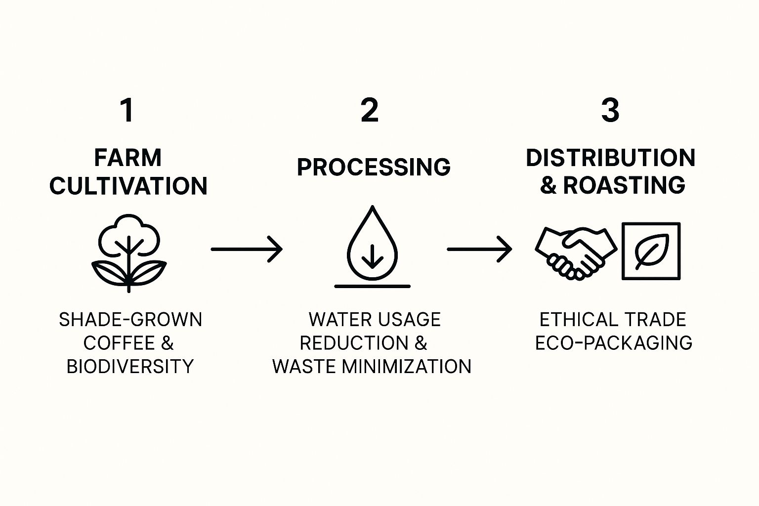 Infographic about sustainability of coffee