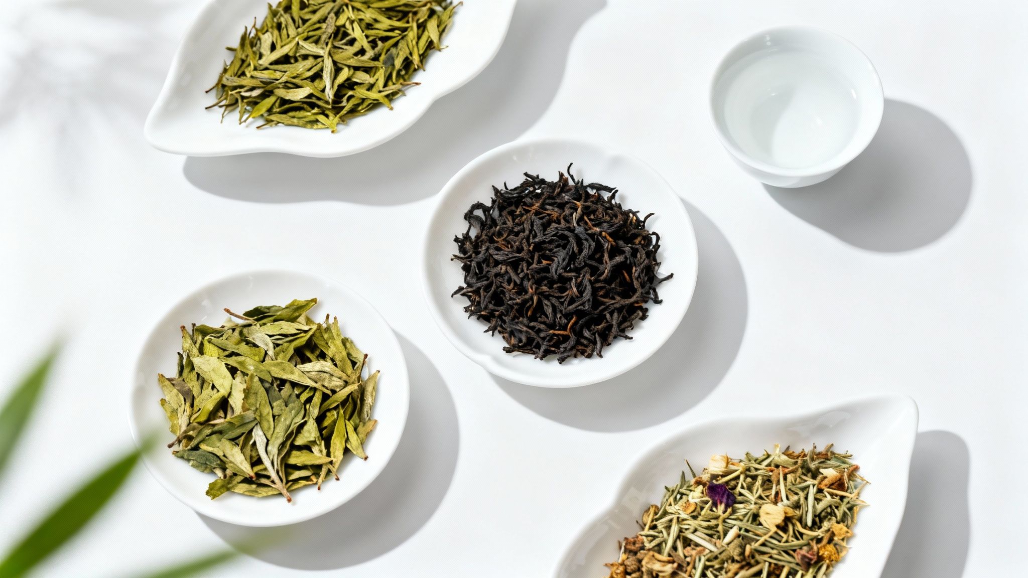 Overhead view of various loose leaf teas in white dishes, including green, black, and herbal blends.