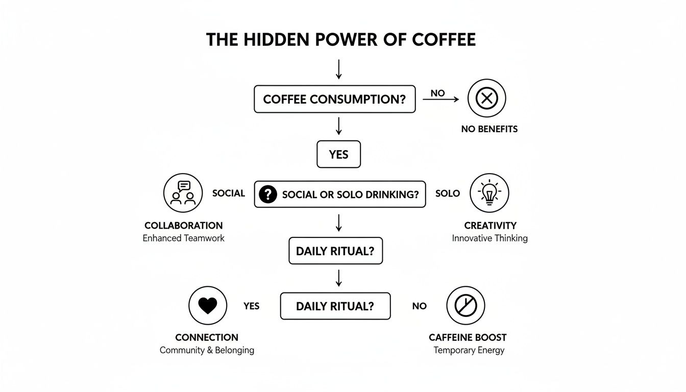 Flowchart illustrating coffee consumption benefits, exploring social, solo, and daily ritual impacts on collaboration, creativity, and connection.