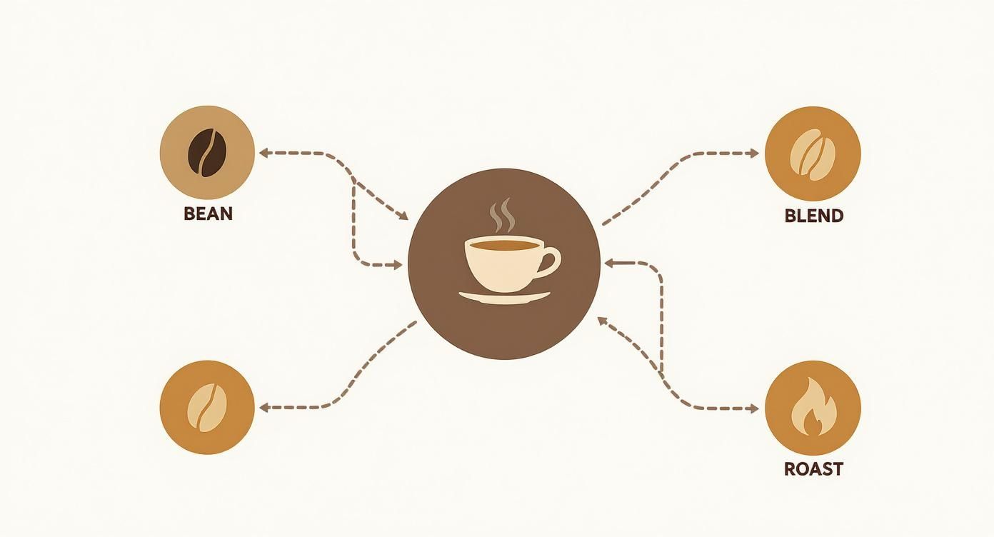 Infographic about espresso coffee beans