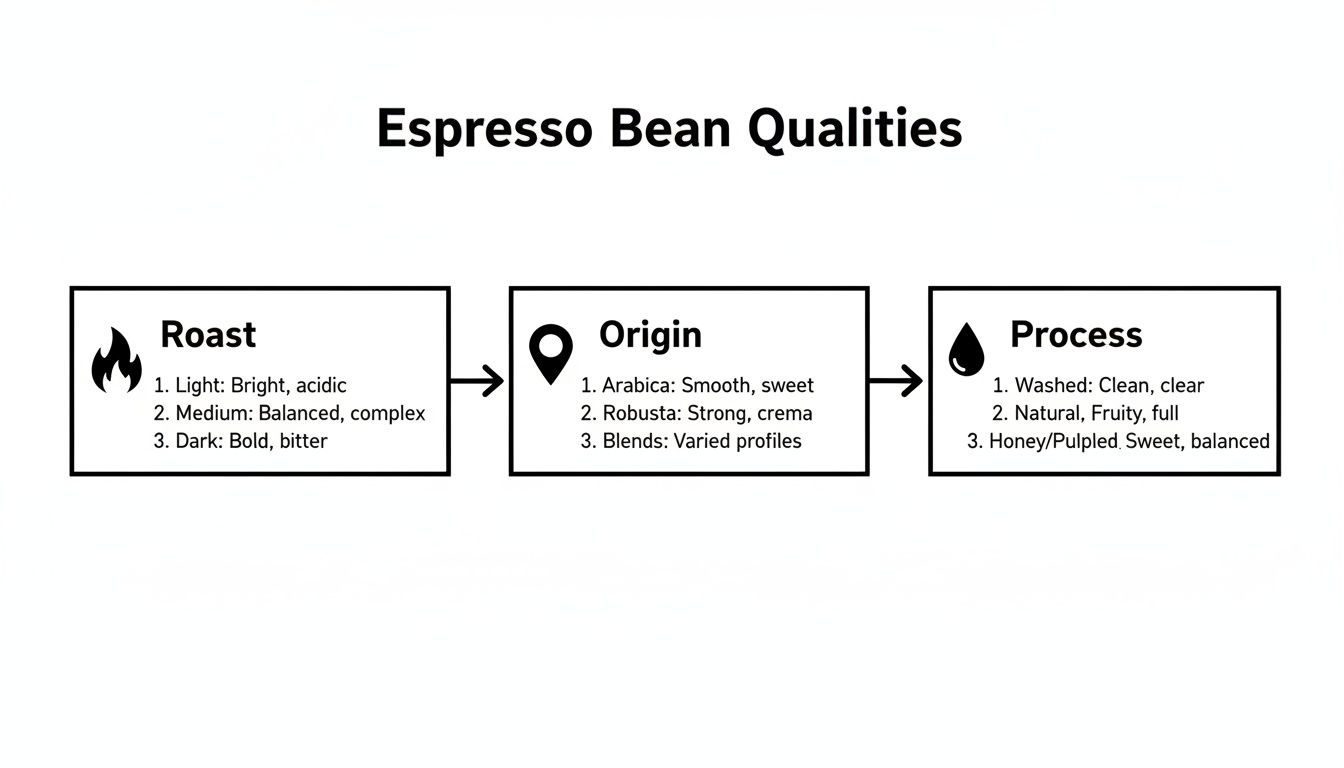 Diagram illustrating espresso bean qualities based on roast, origin, and processing methods for diverse flavor profiles.