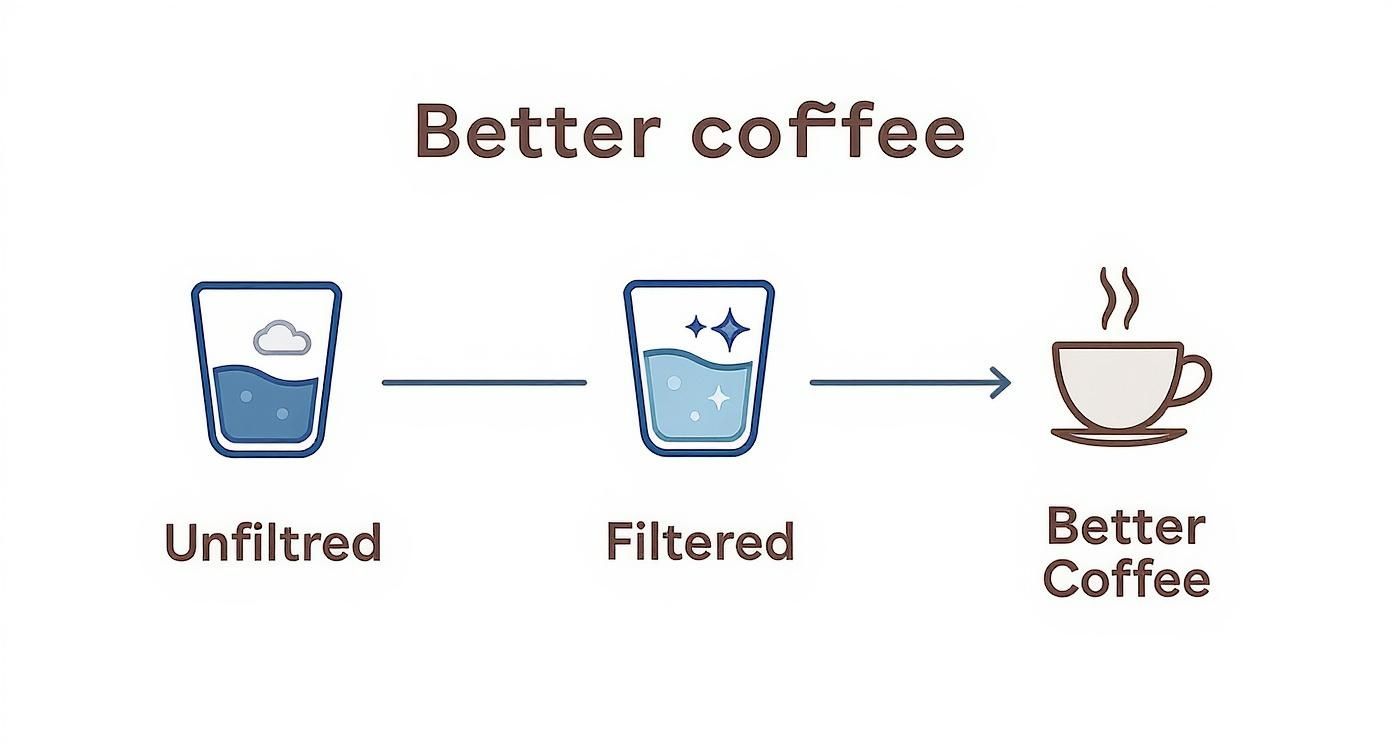 Infographic showing how unfiltered water becomes filtered, leading to better coffee