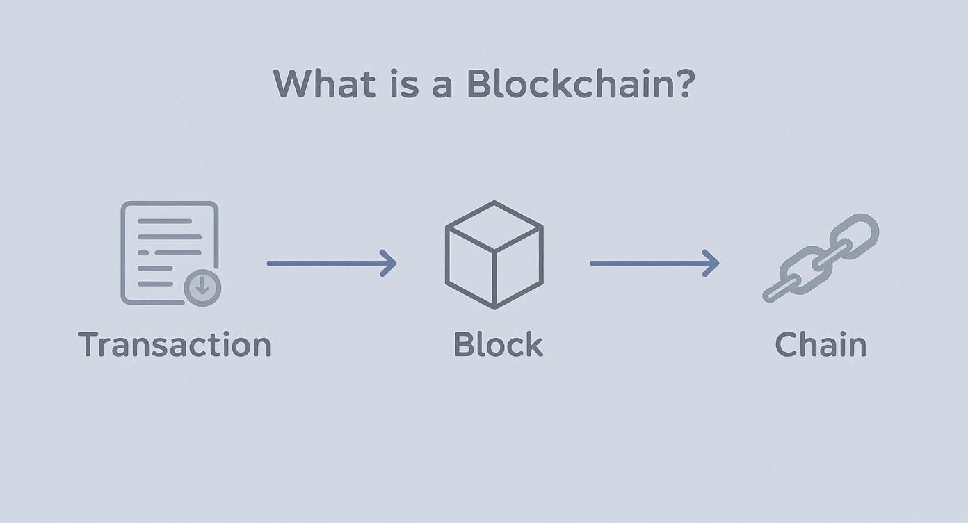 A diagram illustrating the concept of a blockchain: transactions form blocks which create a chain.