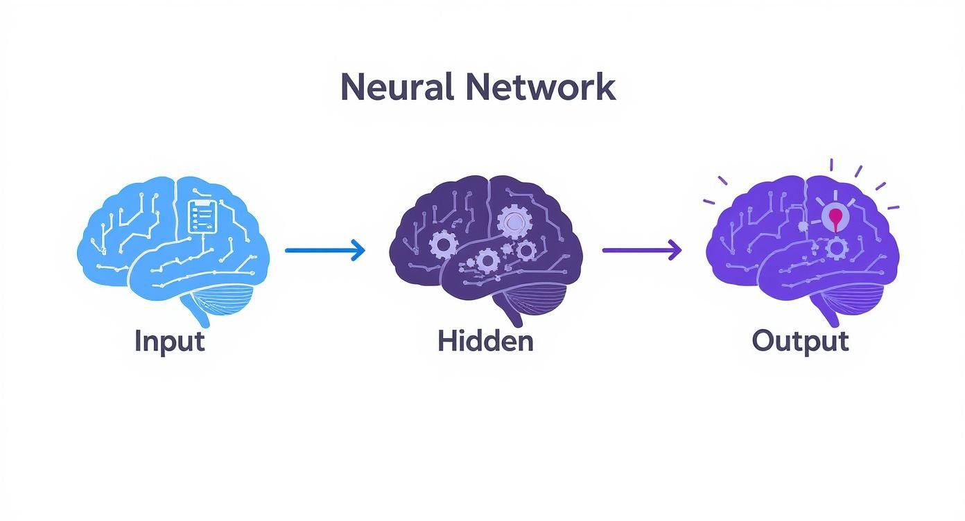 Neural network diagram showing input, hidden, and output layers represented as interconnected brain illustrations