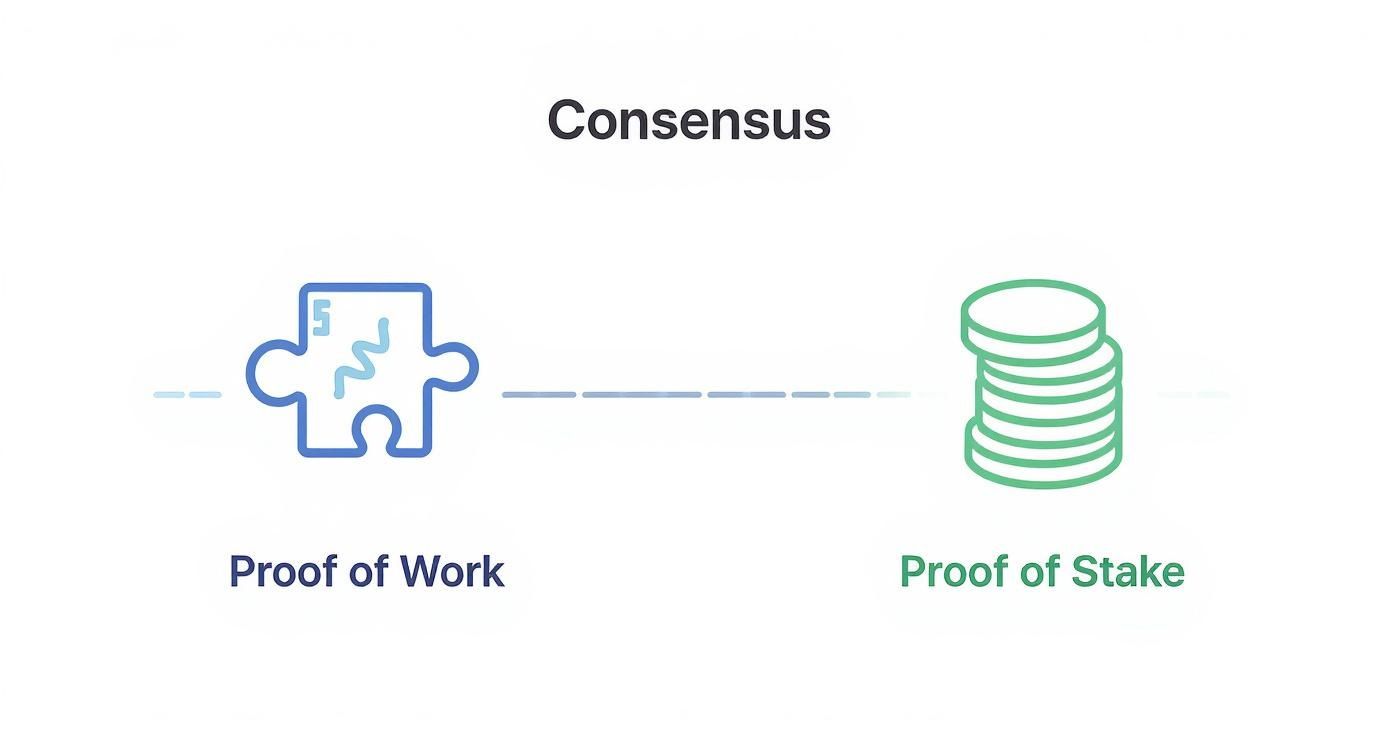 Infographic about how blockchain technology works