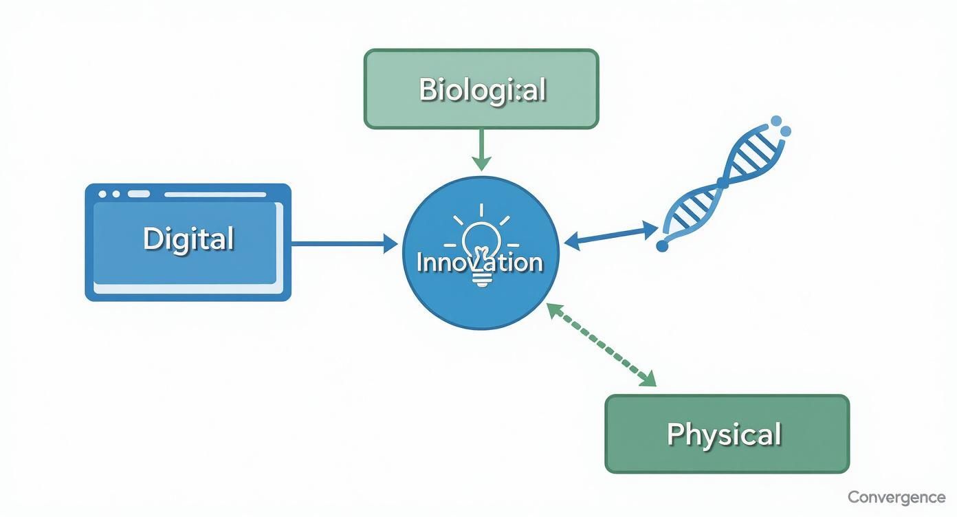 Infographic about future of innovation