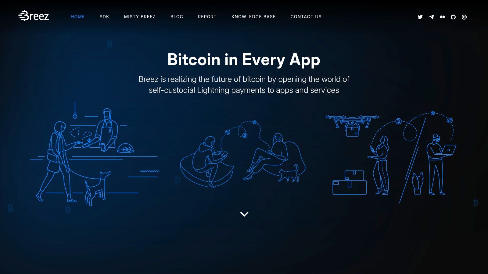 12 Best Lightning Network Wallet Options for 2025 • Flash