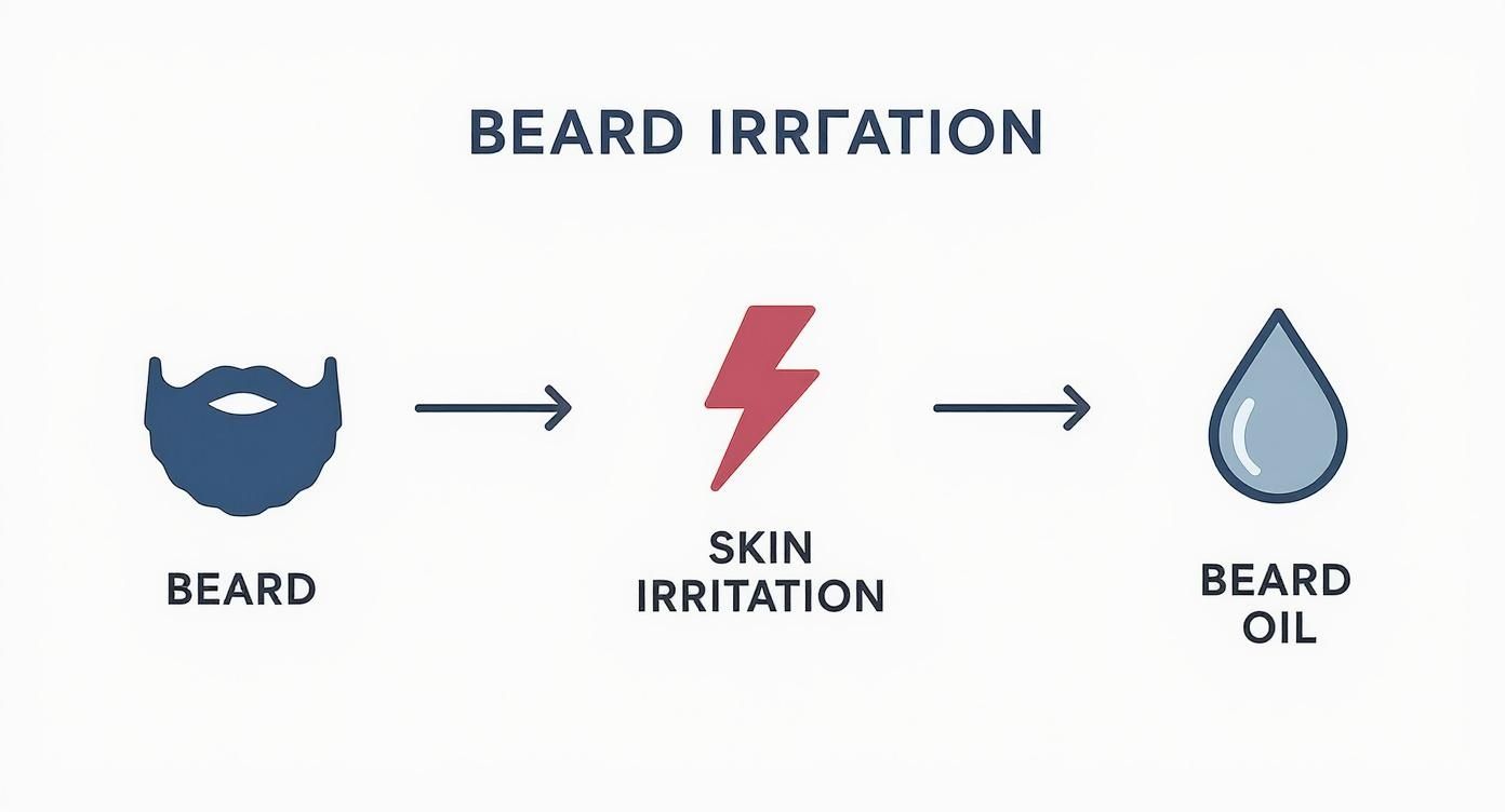 Infographic about best beard oil for sensitive skin