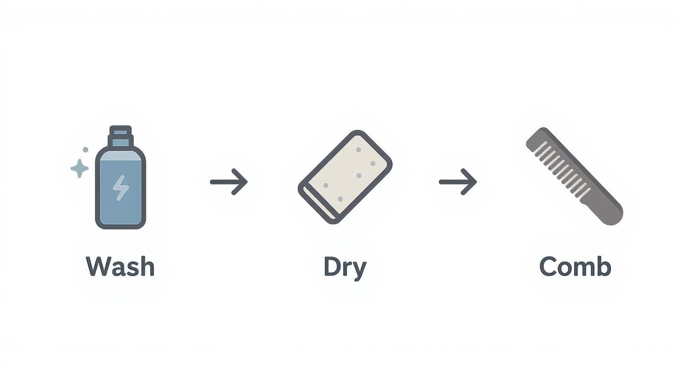 Infographic about how to trim beard at home