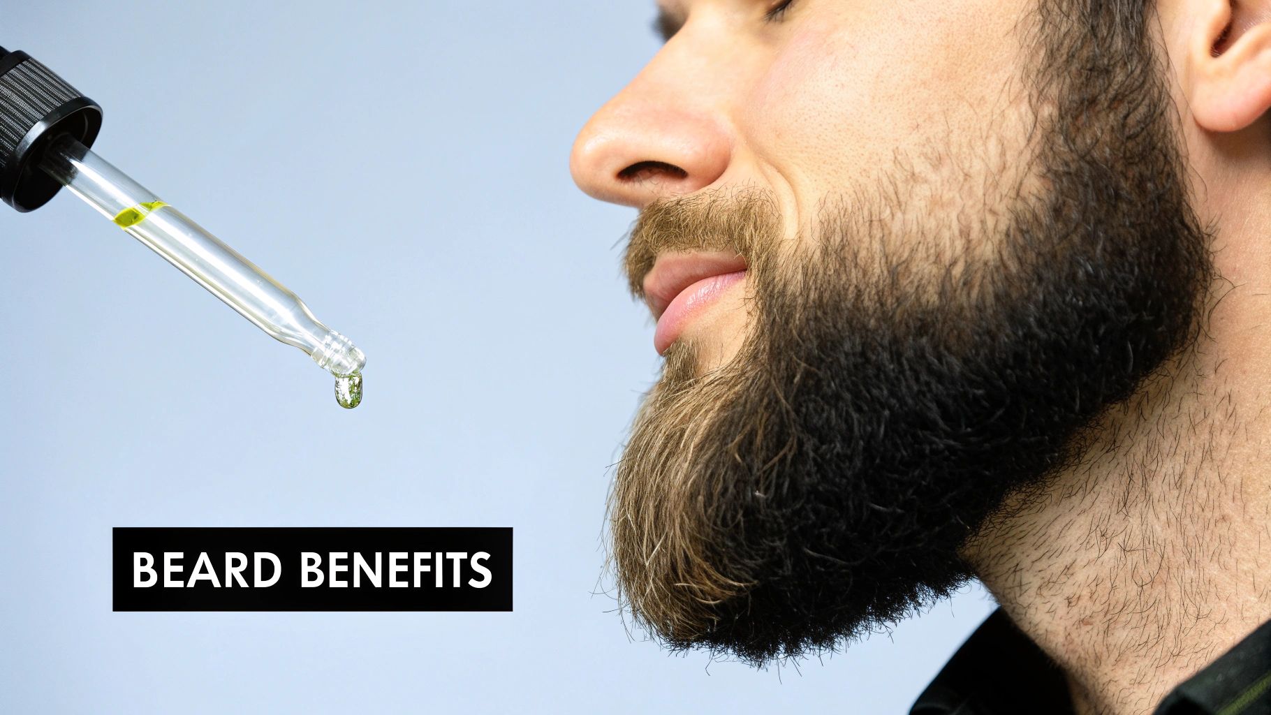 A beard oil bottle next to a comb, with ingredients like Argan nuts and Jojoba seeds in the background.