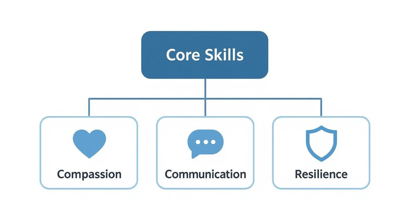 A diagram illustrating three core skills: compassion, communication, and resilience.