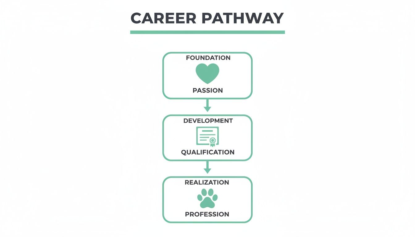 Career pathway infographic showing foundation (passion), development (qualification), and realization (profession) stages.