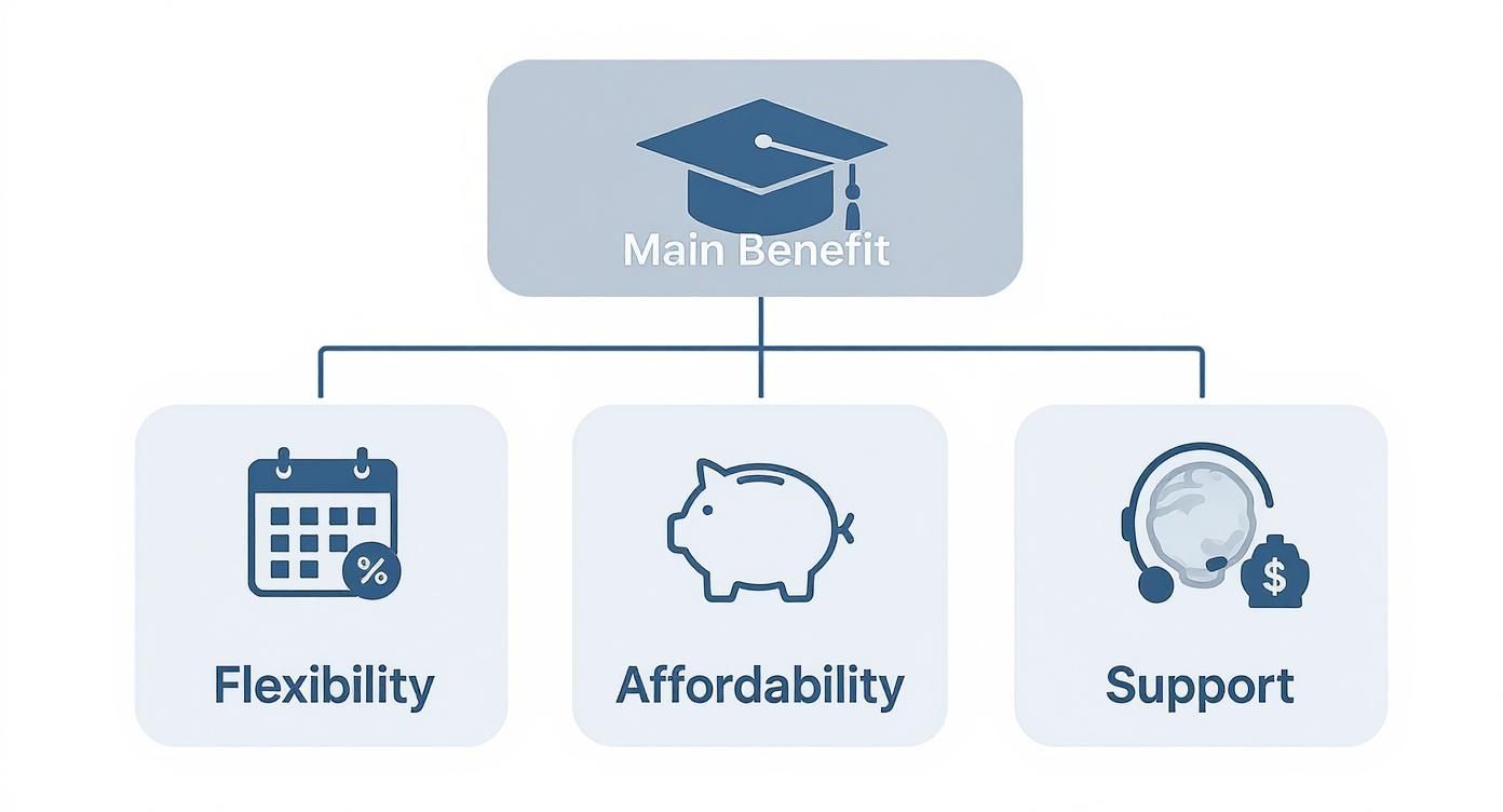 A diagram illustrating the main benefits of education: flexibility, affordability, and support options.