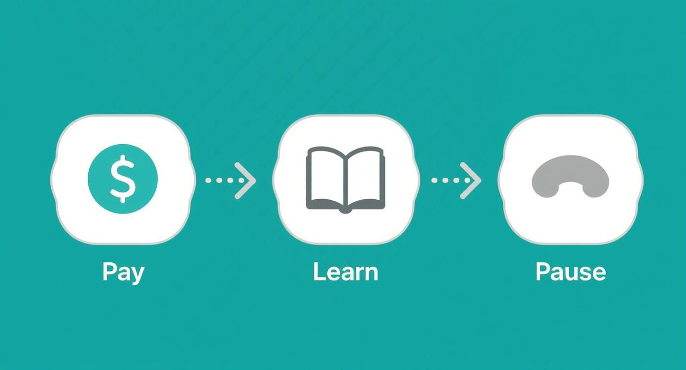 Infographic showing the subscription learning process with icons for Pay, Learn, and Pause.