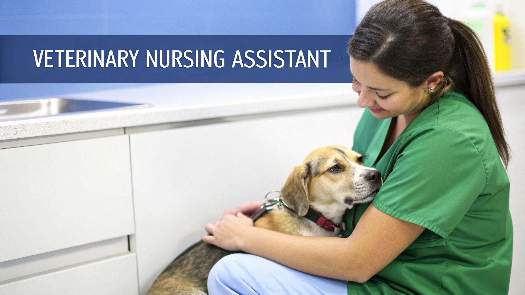 A female veterinary nursing assistant in green scrubs lovingly holds a dog.