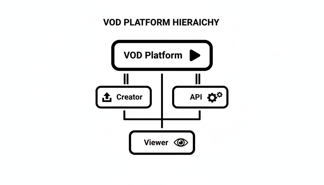 VOD platform hierarchy diagram illustrating relationships between VOD Platform, Creator, API, and Viewer.