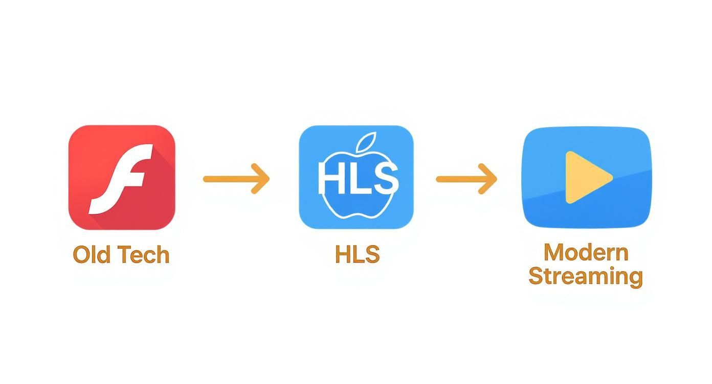 Infographic about what is hls