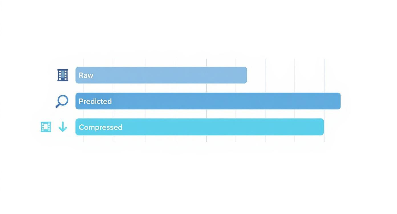 Horizontal bar chart comparing data sizes for Raw, Predicted, and Compressed categories with distinct icons.