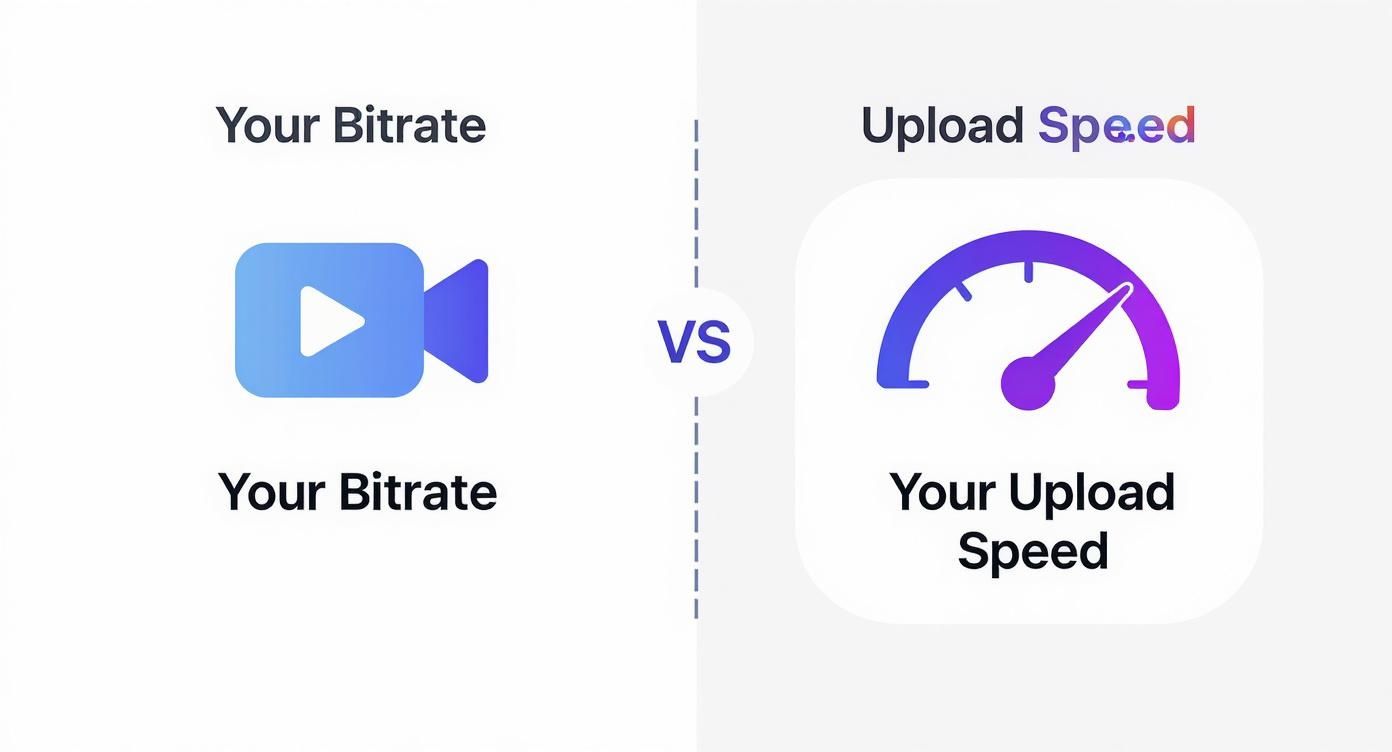 A graphic comparing video bitrate (camera icon) with internet upload speed (speedometer icon) for streaming.