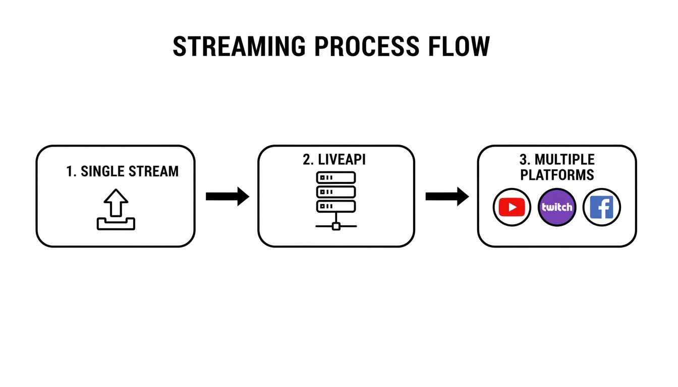 A flowchart depicting the streaming process from a single input to multiple platforms via an API.