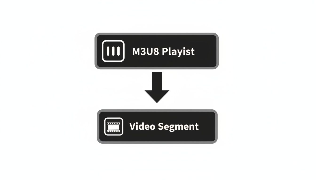 A flowchart illustrating an M3U8 Playlist pointing to a Video Segment, showing media streaming structure.