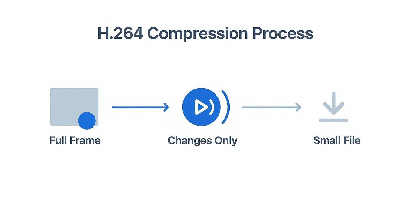 Infographic showing the H.264 compression process from a full frame to only the changes, resulting in a small file.