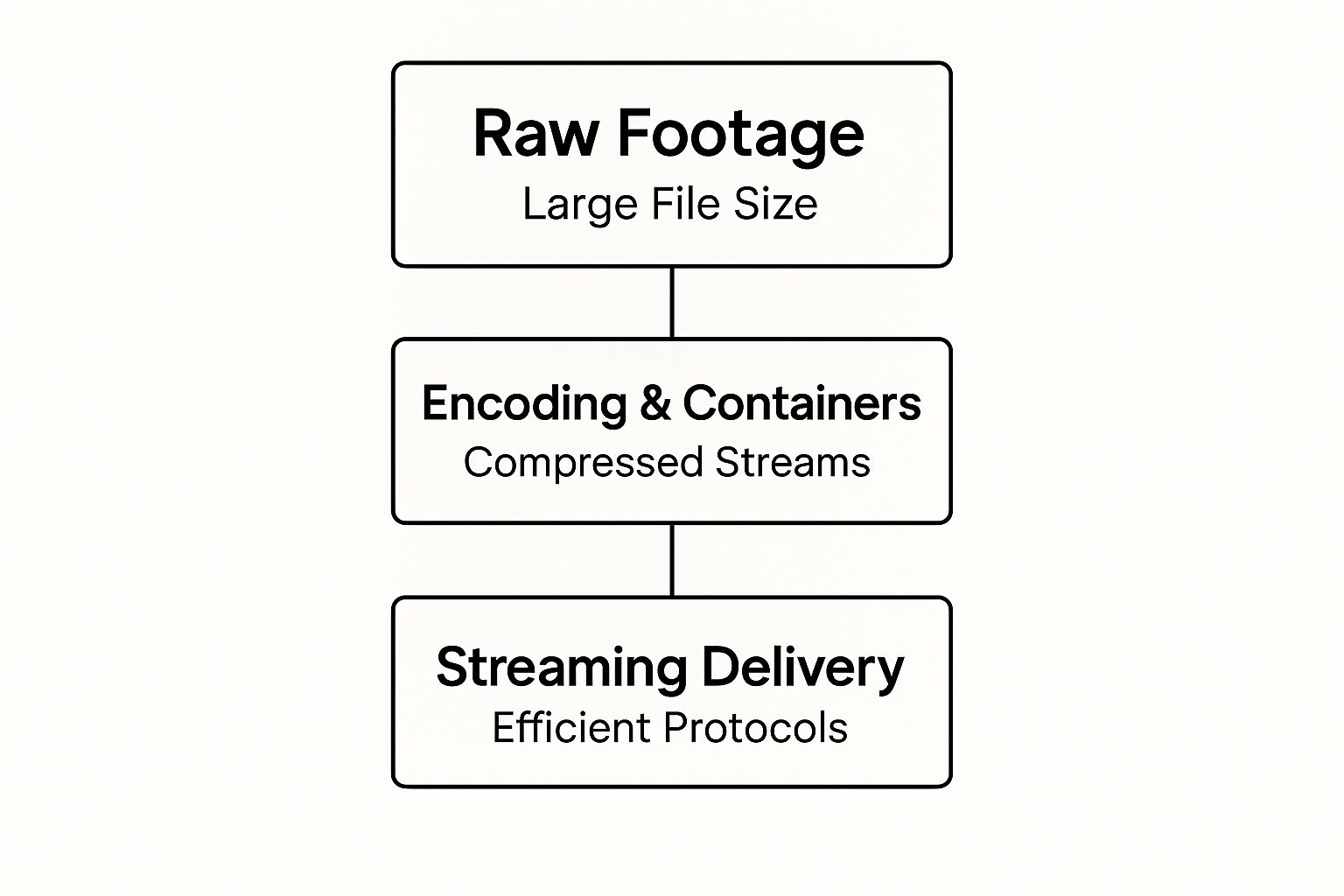 Infographic about video encoding streaming