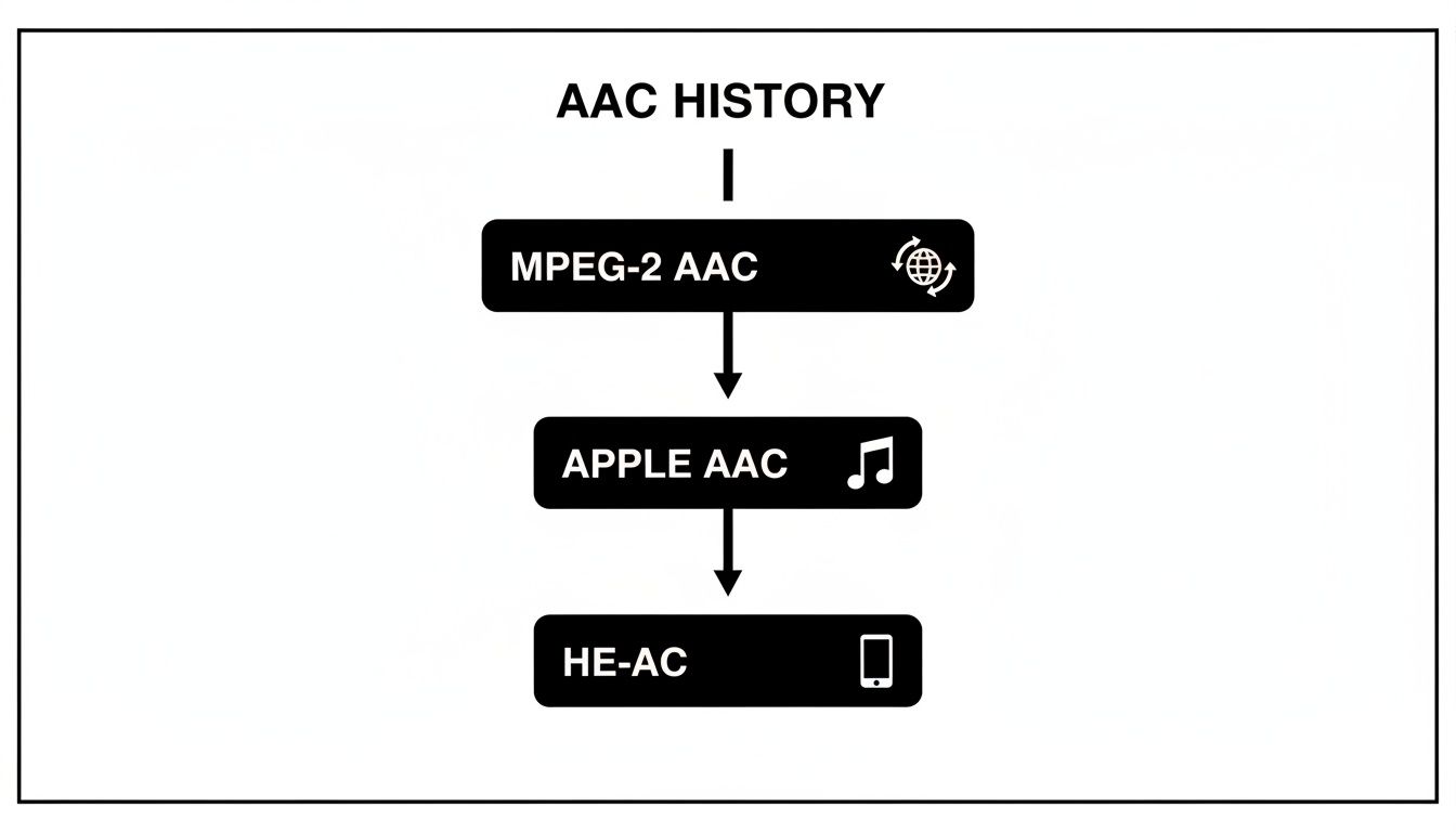 Flowchart illustrating the historical progression of AAC audio formats, from MPEG-2 AAC to HE-AAC.