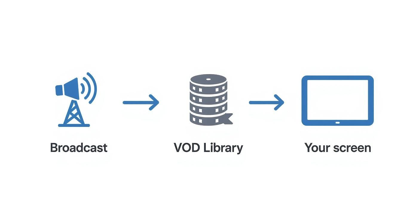 Infographic about video on demand platforms