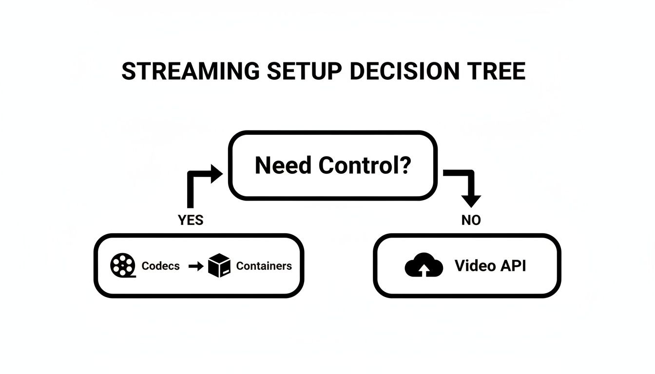 A decision tree for streaming setup, guiding users to Codecs/Containers or Video API based on control needs.