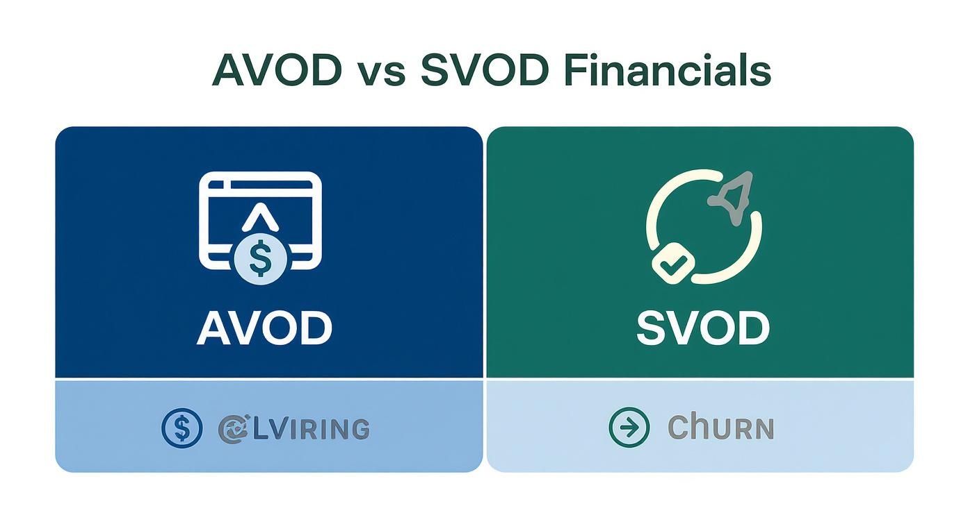 Financial comparison of AVOD and SVOD streaming models, highlighting ad revenue generation and customer churn.