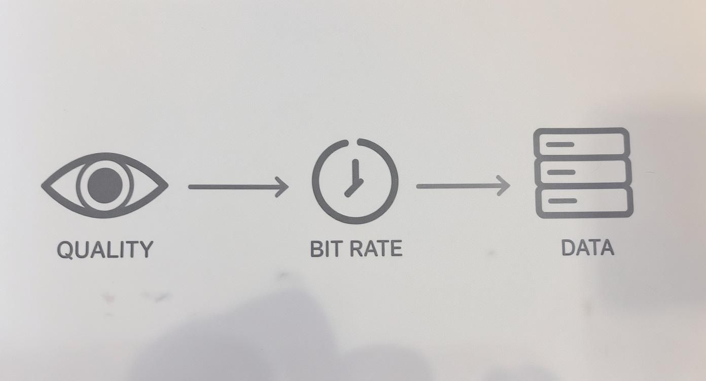 Infographic about streaming bit rates