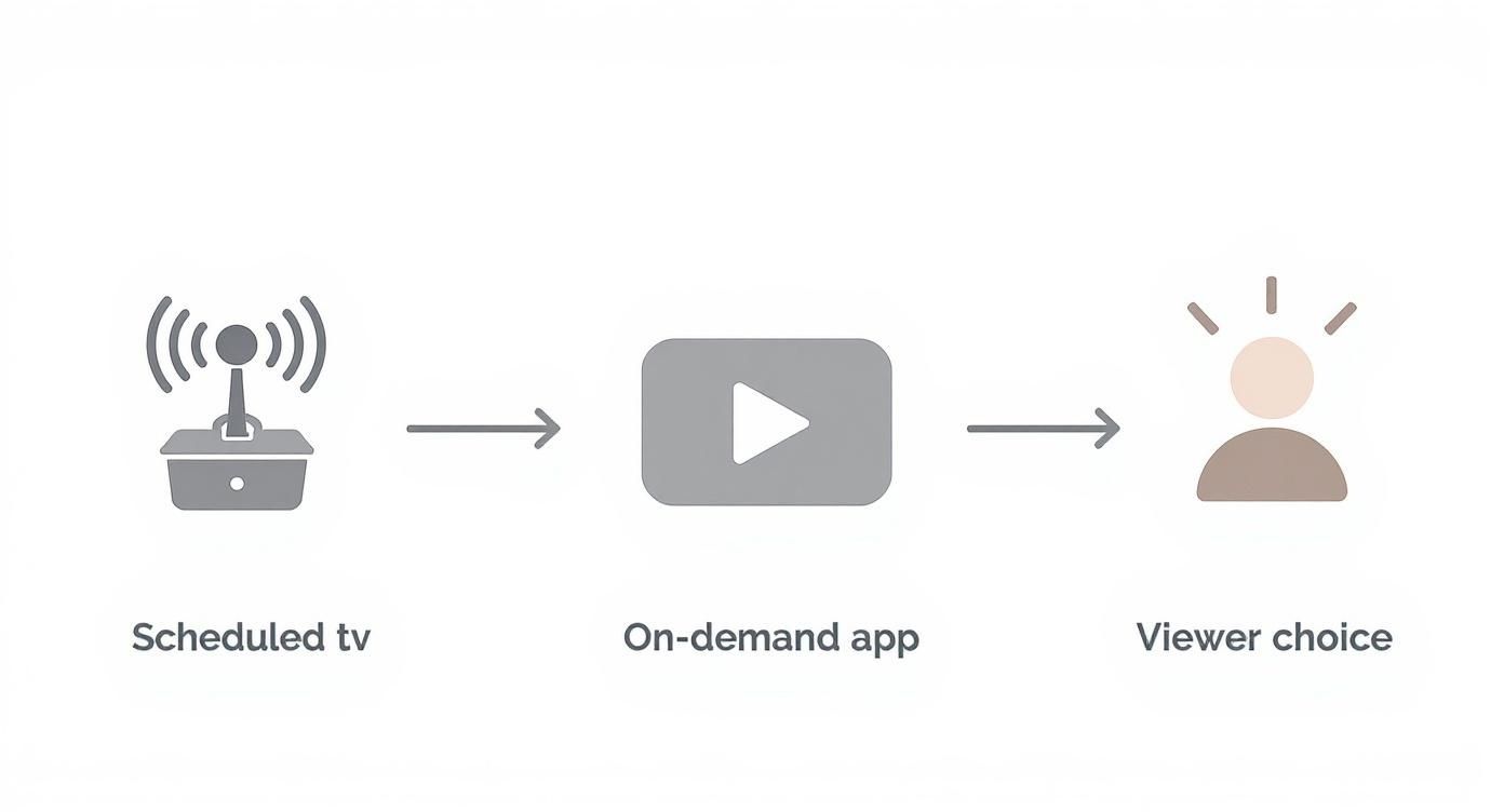Infographic about video on demand application