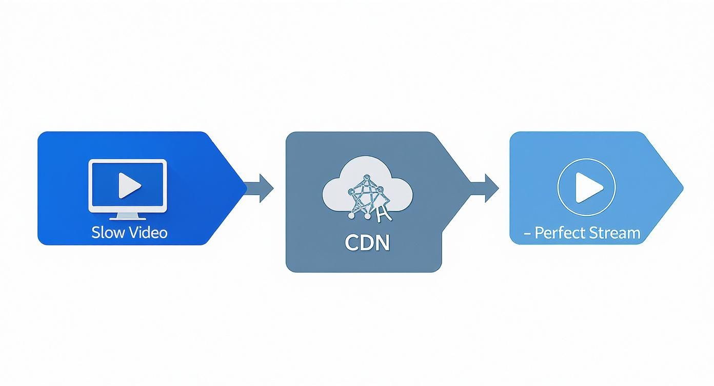 Infographic about cdn for streaming video