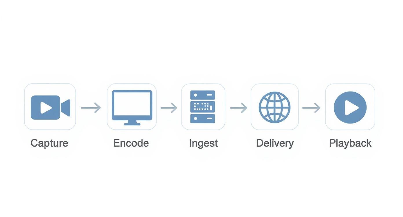 Infographic about live streaming setup
