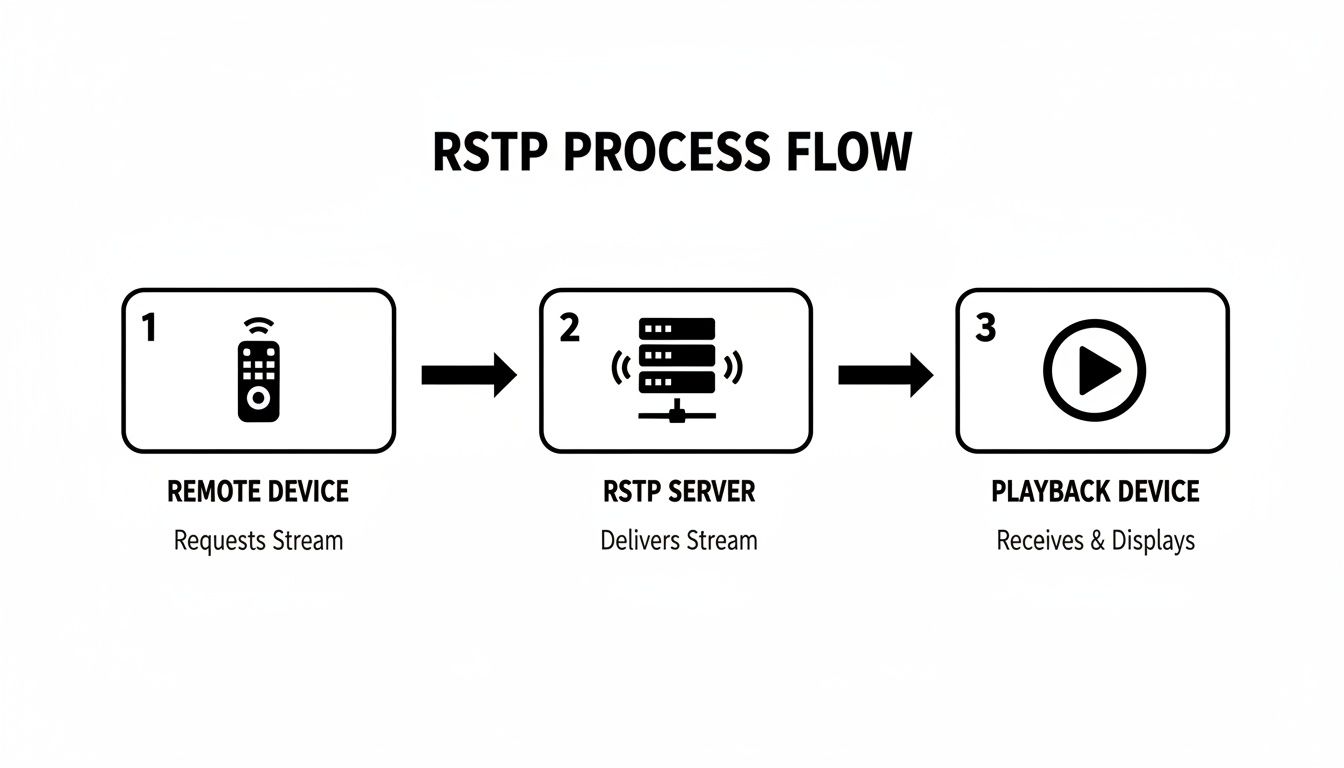 RTSP process flow demonstrating stream request, delivery by server, and display by playback device.