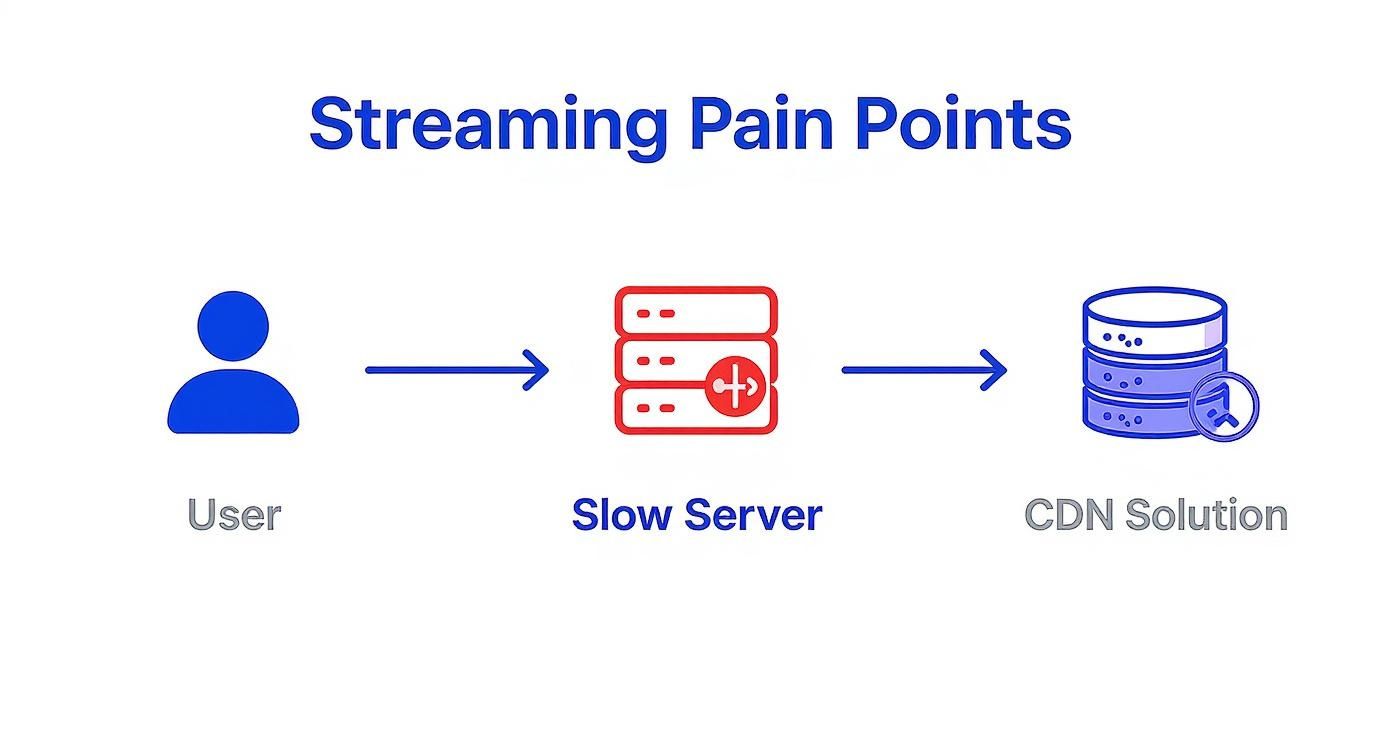 Infographic about cdn for live streaming