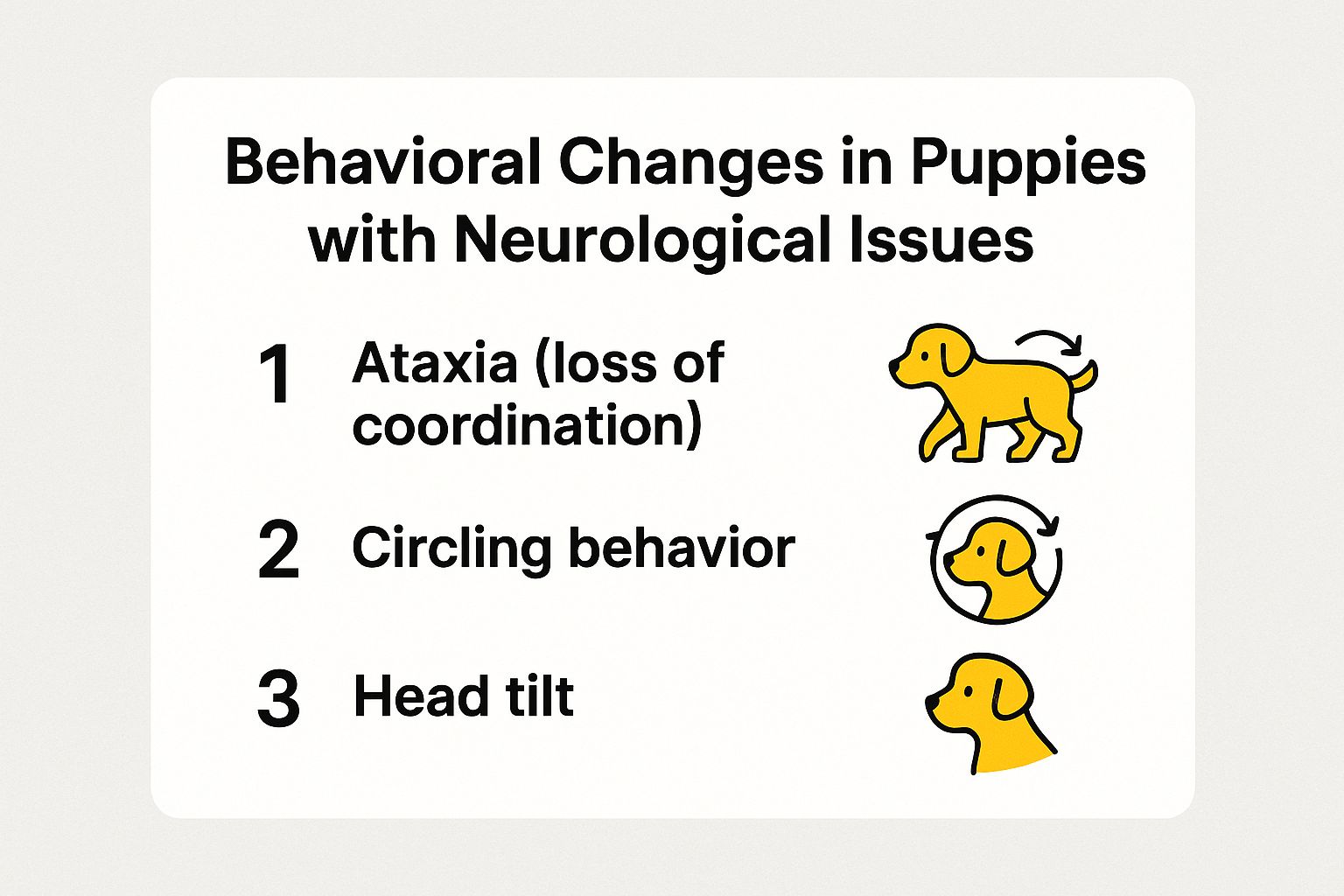 Infographic about signs of neurological problems in puppies